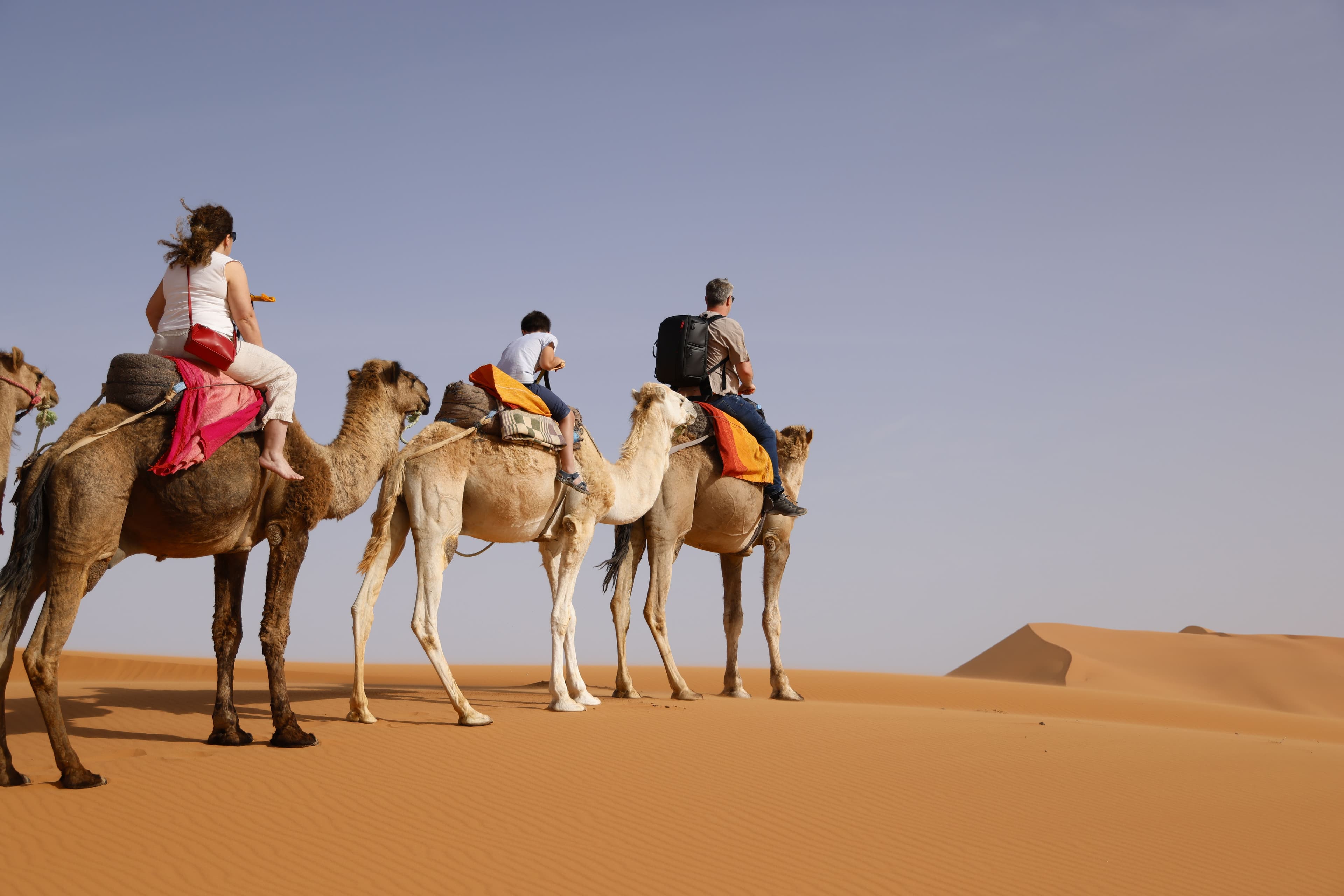 Sahara Desert Glamping
