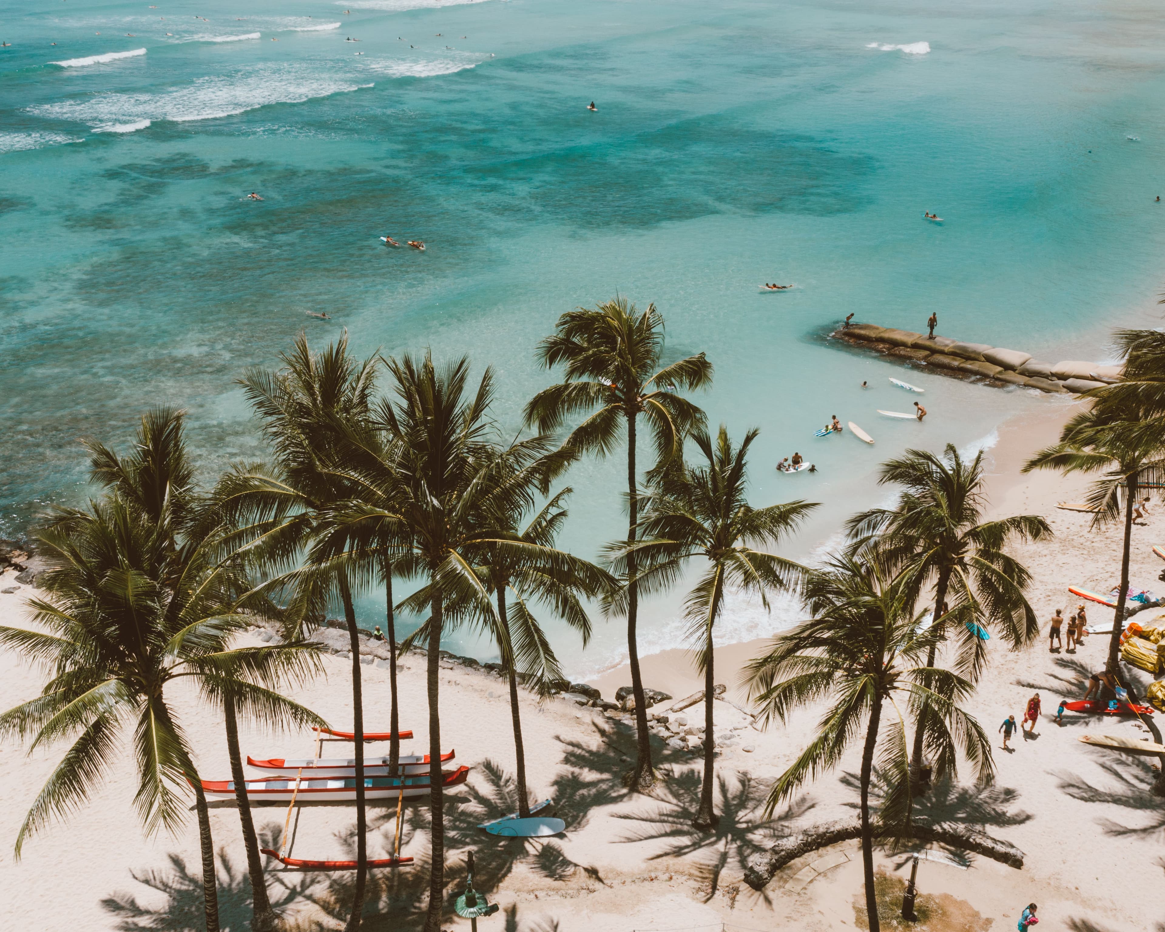 Oahu Surf Safari